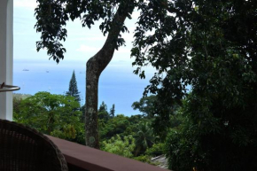 Contemporary studio with sea view in Mahé, 56m² + terrace